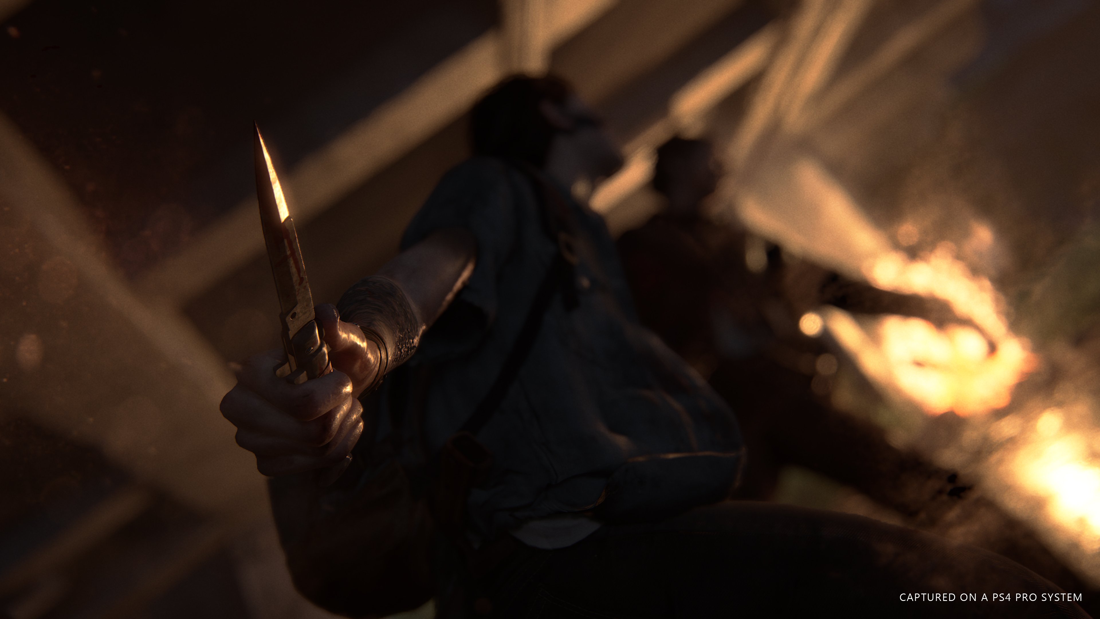 The Last of Us: Parte II - Imagen 12